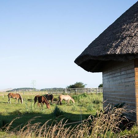 Los Chaja Ecolodge Barra de Valizas Zewnętrze zdjęcie