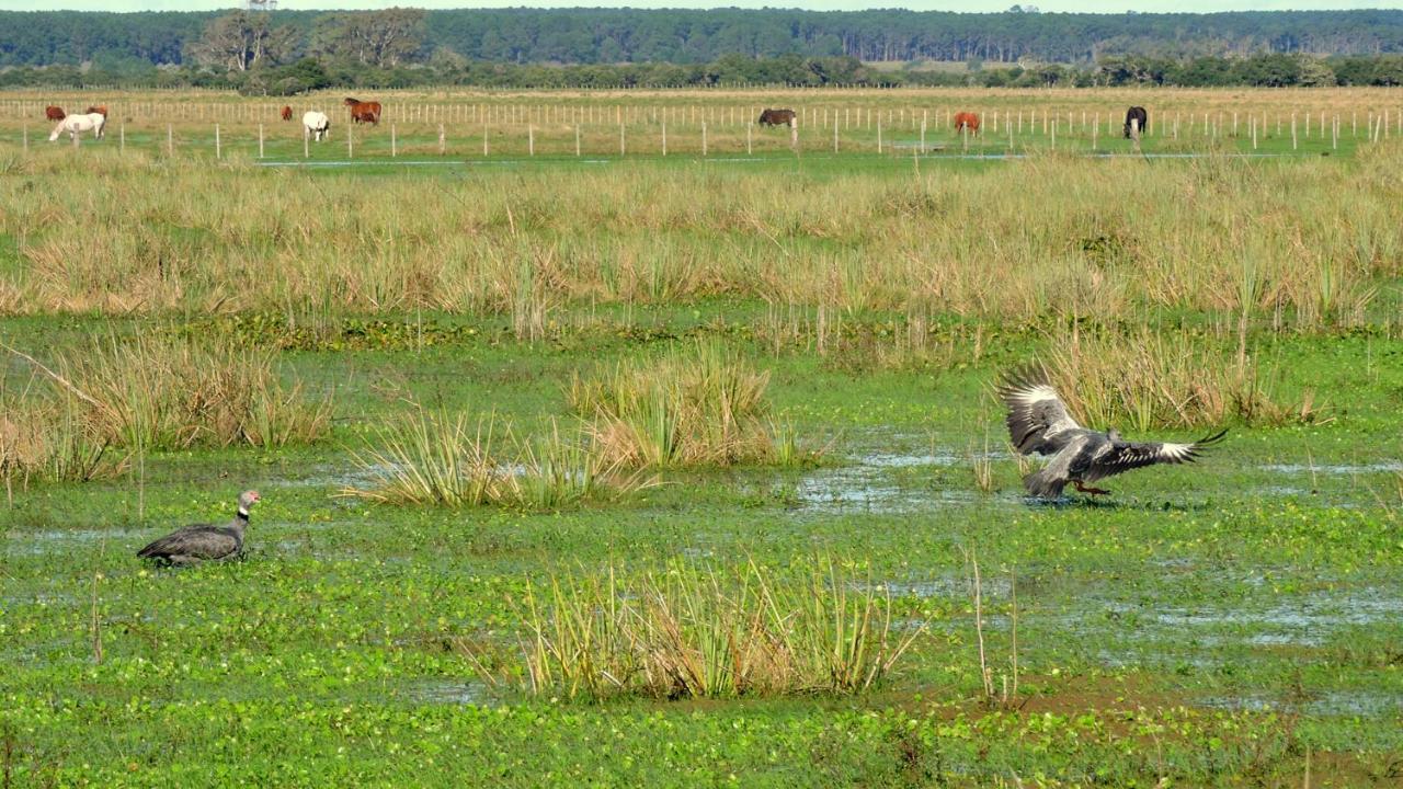 Los Chaja Ecolodge Barra de Valizas Zewnętrze zdjęcie