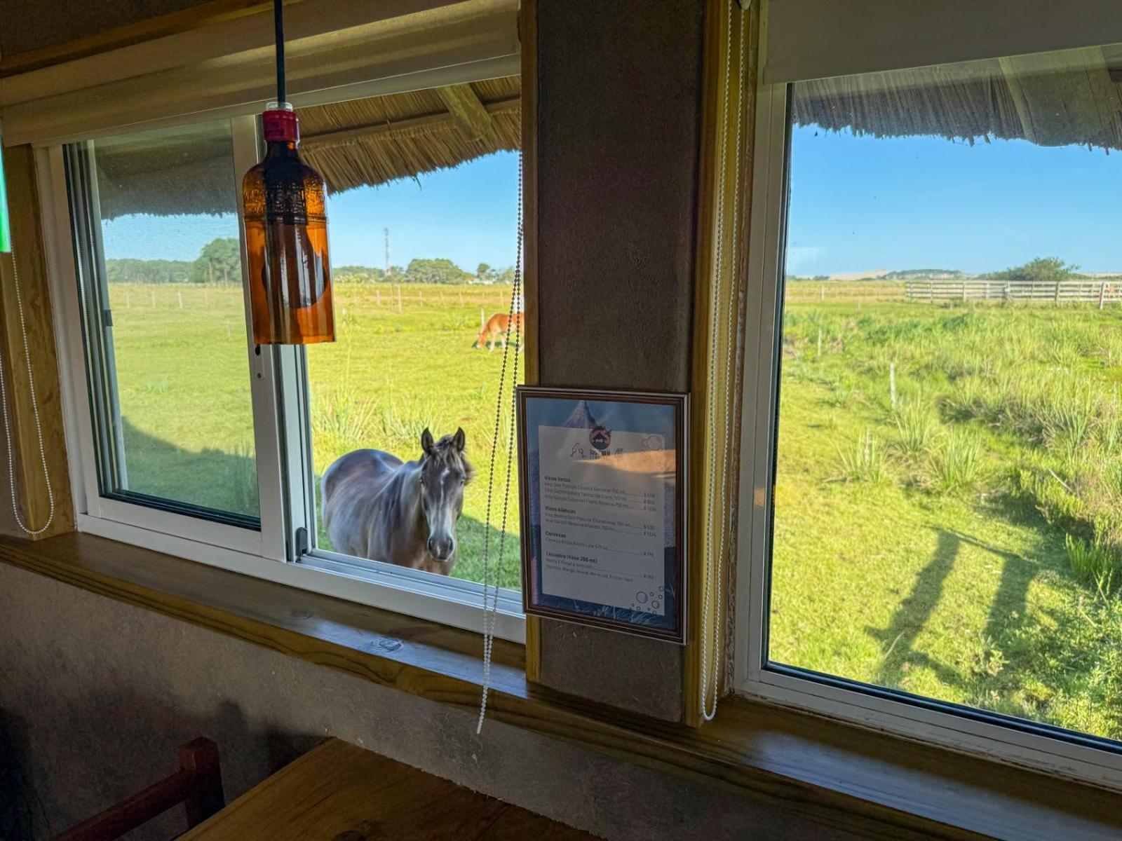Los Chaja Ecolodge Barra de Valizas Zewnętrze zdjęcie