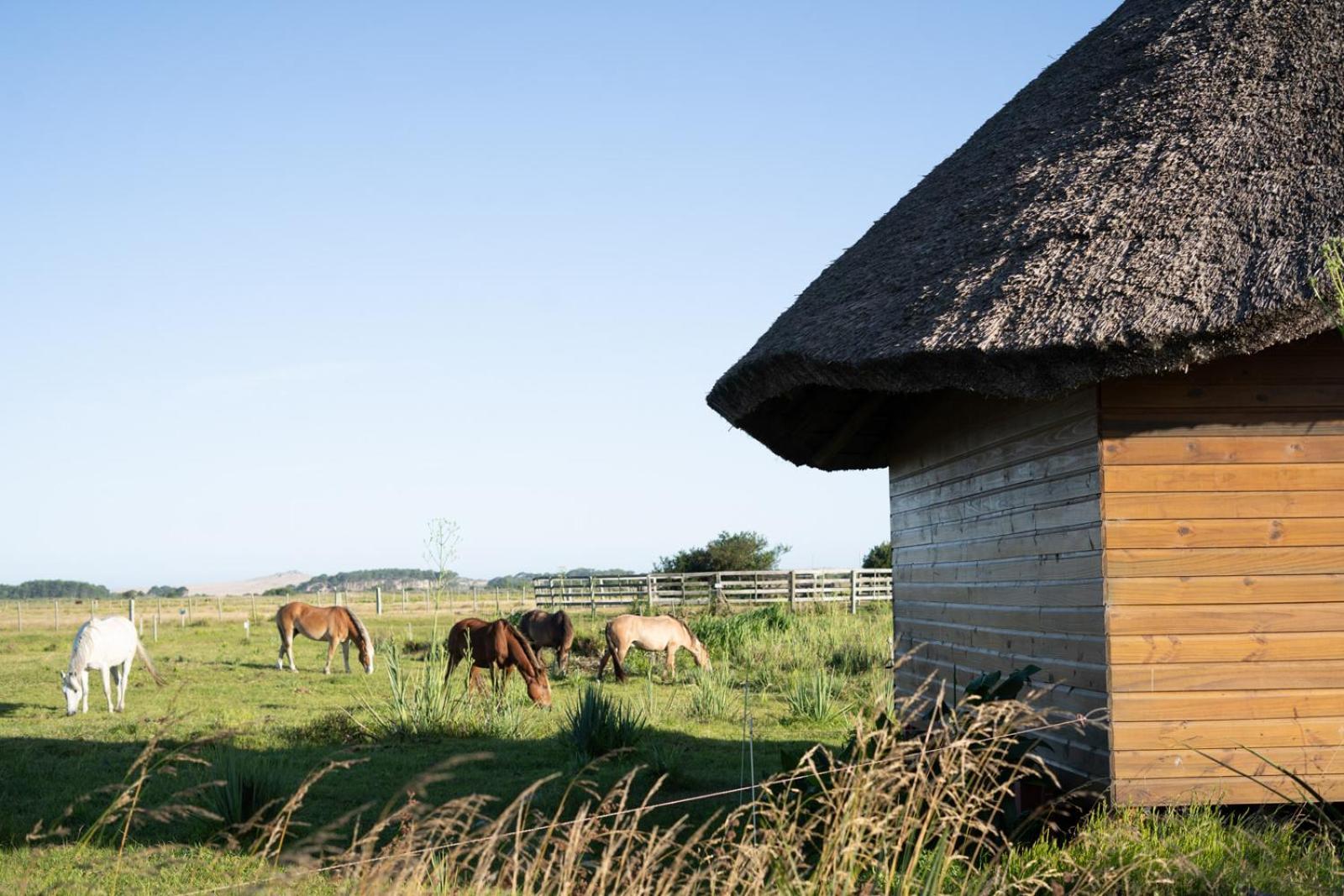 Los Chaja Ecolodge Barra de Valizas Zewnętrze zdjęcie